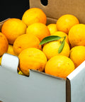 Fresh oranges in a white cardboard box, perfect for citrus gift boxes or online fruit delivery