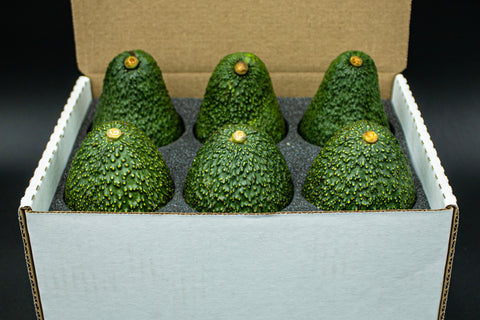 3-3 | GEM & Carmen Hass Avocados