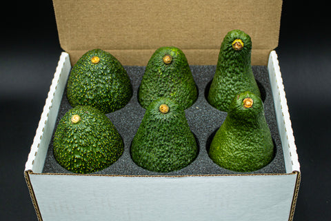 Six fresh California avocados nestled in a protective gift box, perfect for gifting or delivery.