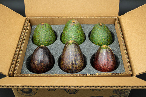 Mexicola and Hass - Two Varieties of Avocados (limited supply)