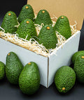 Fresh California avocados in a gift box with shredded paper, perfect for delivery or subscription