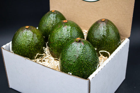Fresh California avocados in a gift box with shredded paper lining