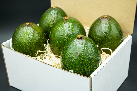 5 Reed Avocados - A large avocado with bold flavor