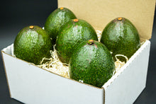 Load image into Gallery viewer, 5 Reed Avocados - A large avocado with bold flavor
