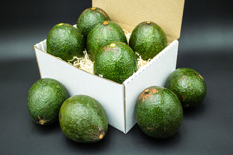 9 Reed Avocados - A large avocado with bold flavor