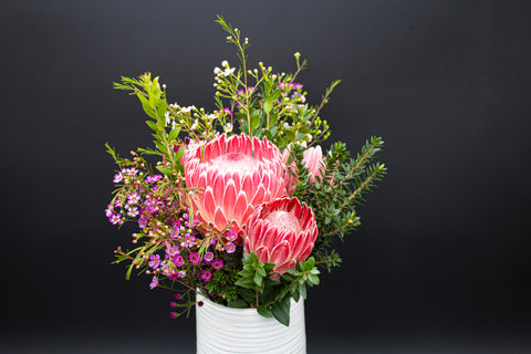 Empress Protea Flowers