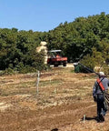Farmer harvesting avocados in California orchard with utility vehicle, showcasing fresh produce from family farm