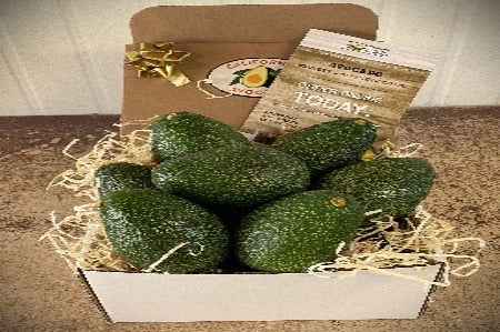 8 Jumbo Gem Avocados - Farmers Dozen