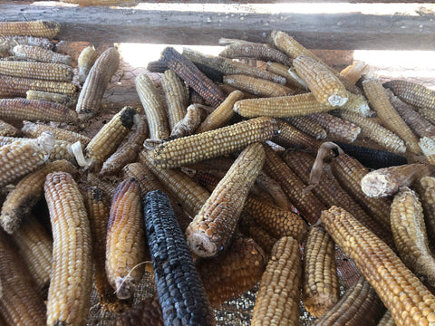 Casados Farms new mexcio chicos