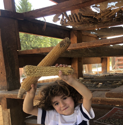 Casados Farms new mexcio chicos