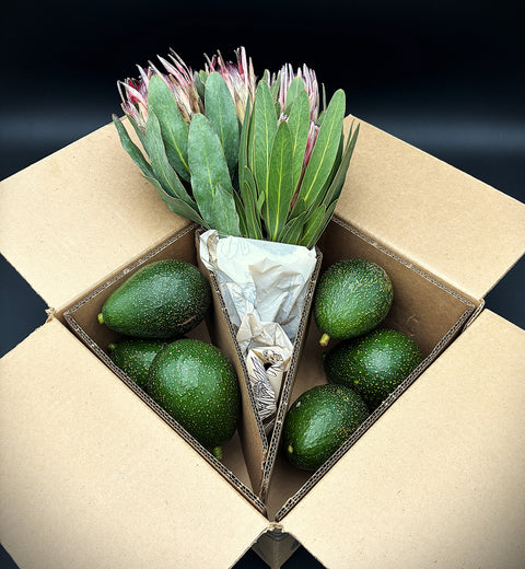 Protea Flowers, 4 Stems and 6 Avocados