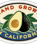 Hand Grown California Avocado with farm scene, fresh green leaves and ripe fruit halves