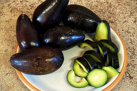 Mexicola and Hass - Two Varieties of Avocados (limited supply)