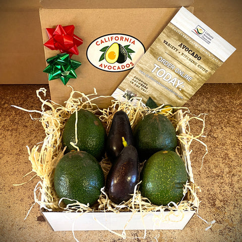 Mexicola and Reed - Two Varieties of Avocados