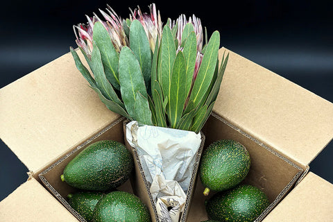 Protea Flowers, 4 Stems and 6 Avocados