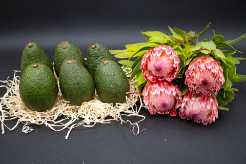 Protea Flowers, 4 Stems and 6 Avocados