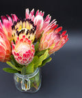 Vibrant protea flowers in a glass jar with green leaves against a dark background