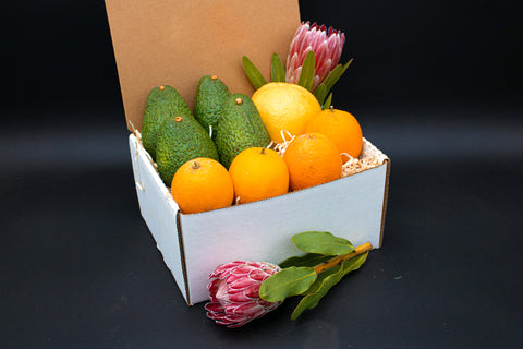 PROTEA FARM COMBO, 2 Stems and 4 Avocados, 4 Valencia Oranges, 1 White Grapefruit