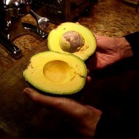 Mexicola and Reed - Two Varieties of Avocados