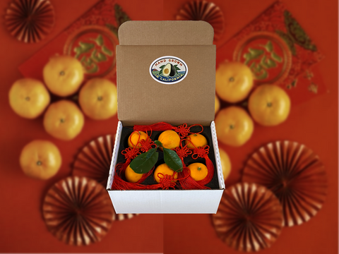 Lunar New Year Prosperity Box - 12 Valencia Oranges and 6 Red Knot Tassels