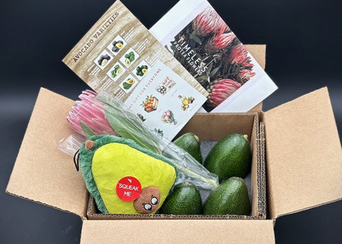 Open cardboard box containing a plush avocado toy, green avocados, and protea flowers