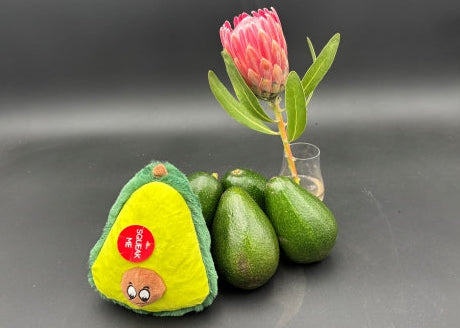 Avocado plush toy and real avocados with a flower on a gray background