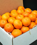 Fresh citrus oranges in a gift box, perfect for online delivery and family gifting