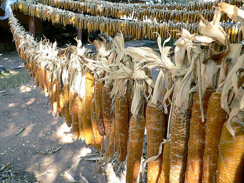 Casados Farms new mexcio chicos