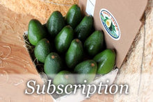 Load image into Gallery viewer, Monthly Subscription - 12 Large Avocados - Monthly Dozen
