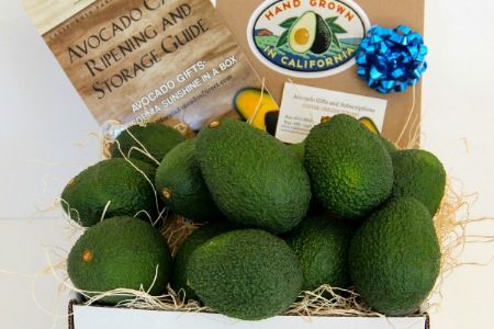 Holiday "Give a Gift" box of 24 Avocados with gift bags and bows