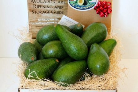24 Large Fuerte Avocados - Fresh From the Farm