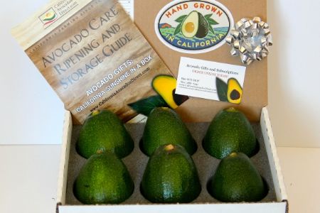 6 Large Bacon Avocados - California Classic