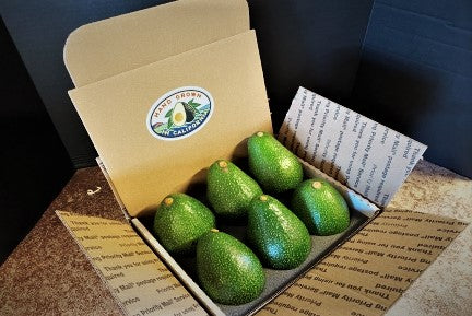 6 Nabal Avocados - A Rare Variety not found in stores