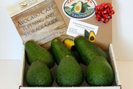 Spring Sampler Pinkerton and Hass - Two Varieties of Avocados