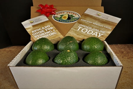 6 Large Gem Avocados - Farmers Dozen