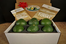 Load image into Gallery viewer, 6 Large Gem Avocados - Farmers Dozen
