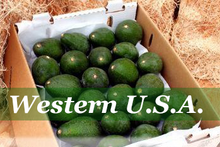 Load image into Gallery viewer, WESTERN SPECIAL - Farmer Ben&#39;s 10 lb. Avo Box
